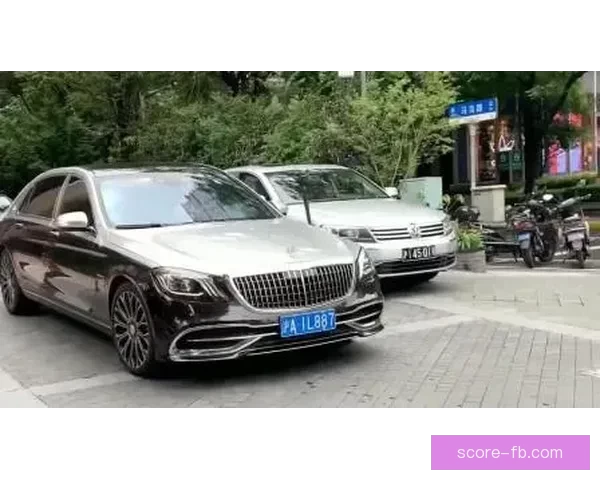 詹姆斯偶遇鳄鱼惊魂一刻晒30万豪车收藏十余台顶级座驾